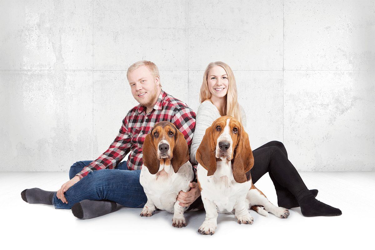 bassethound_fotostudio5